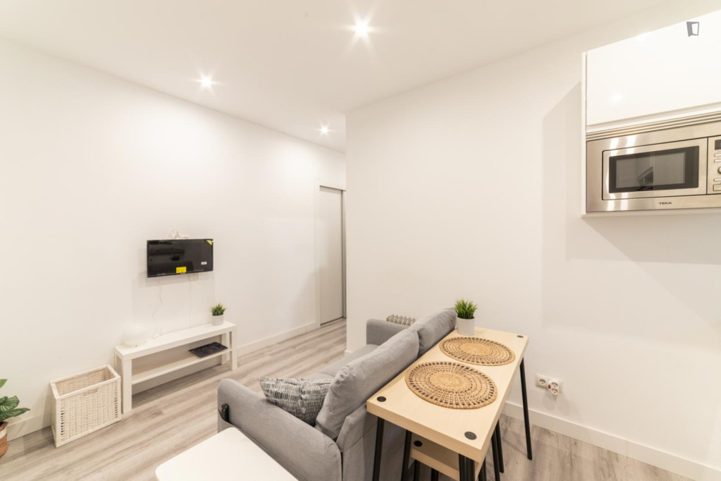 Monthly rental apartment 1 bedroom in Arganzuela - Acacias - Madrid - chambre - ImmoJeune