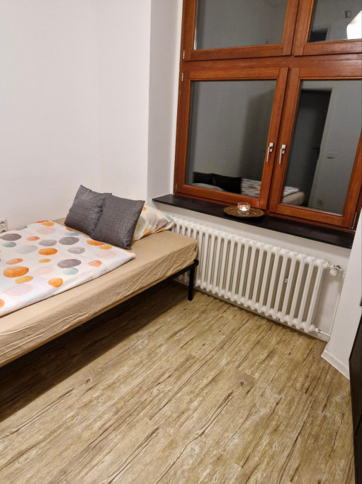 Studio - Cologne - chambre - ImmoJeune