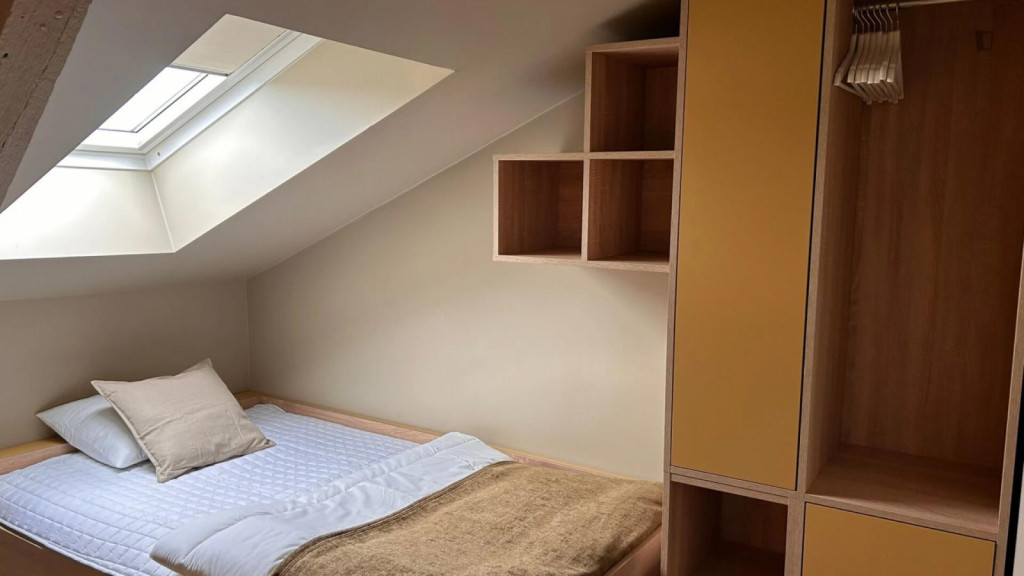 Pleasant single bedroom in shared flat in Grünerløkka - Oslo - chambre - ImmoJeune