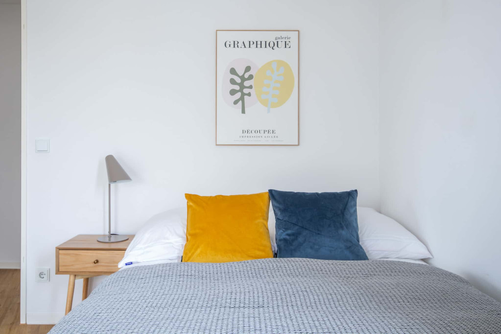 Alfred 12 Room 1 Standard+