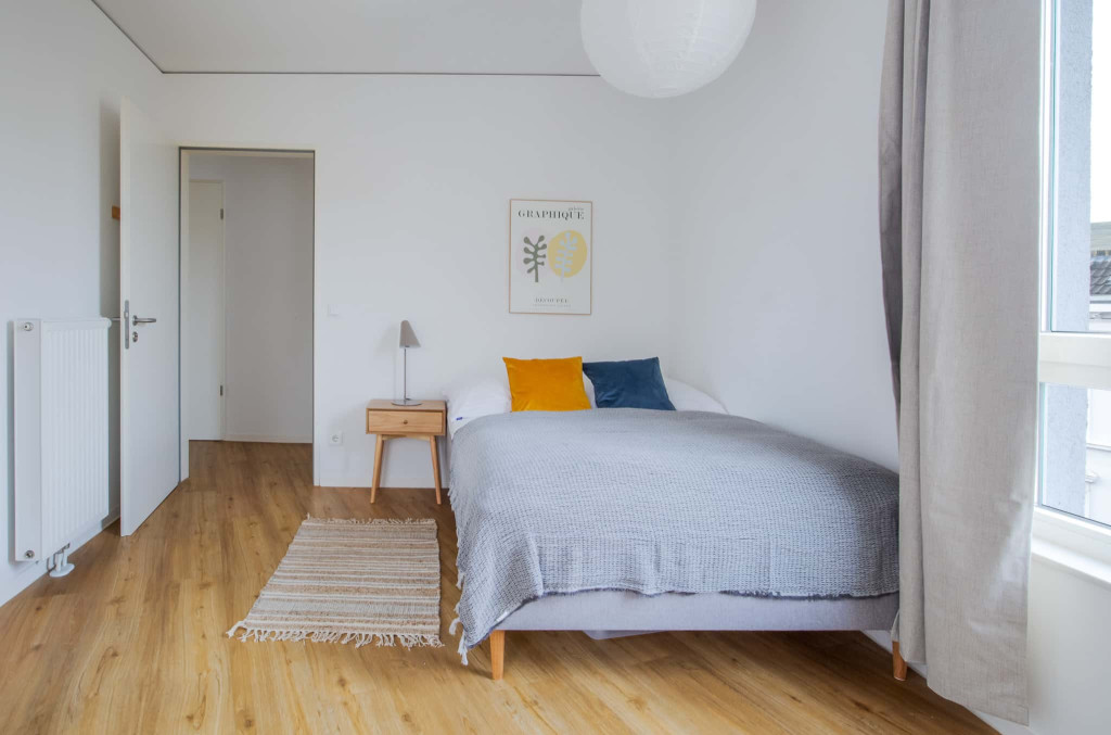 Alfred 12 Room 1 Standard+