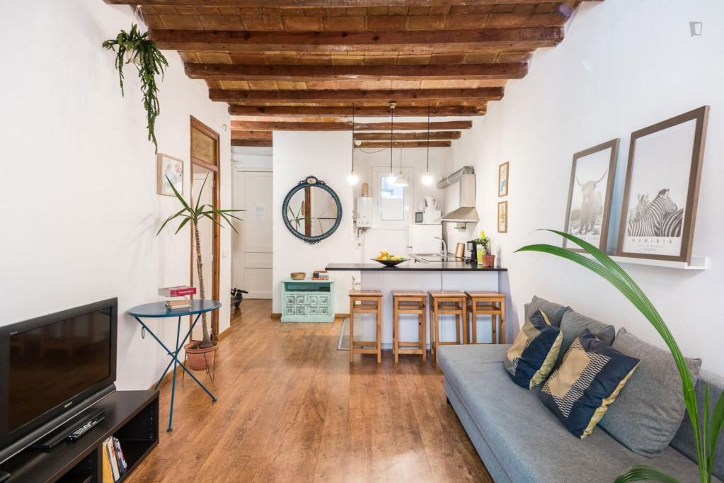 Central 2-bedroom apartment in Poble Sec