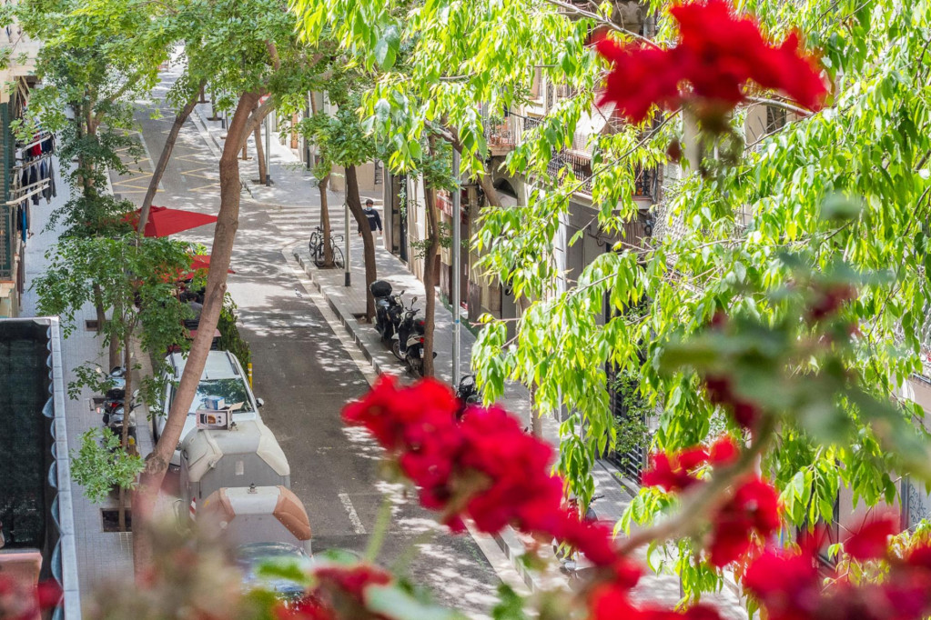 Central 2-bedroom apartment in Poble Sec