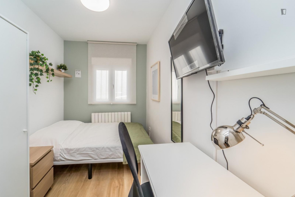 Cozy single bedroom - Valladolid - chambre - ImmoJeune