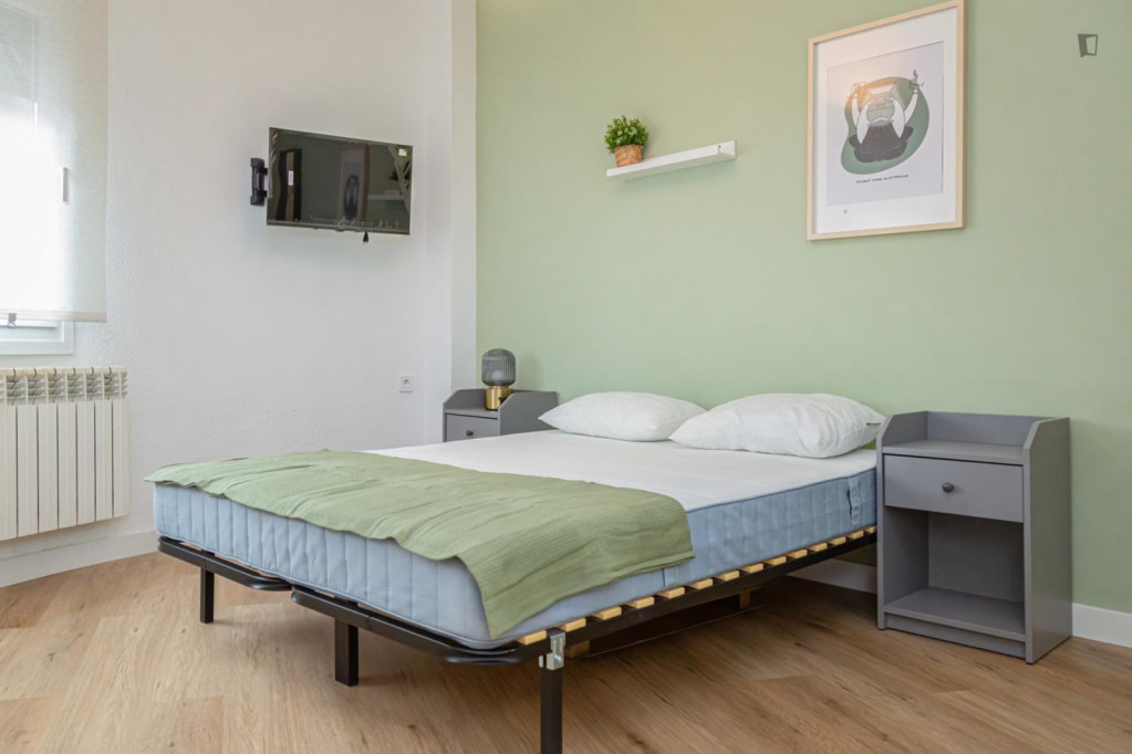 Attractive single bedroom - Zaragoza - chambre - ImmoJeune