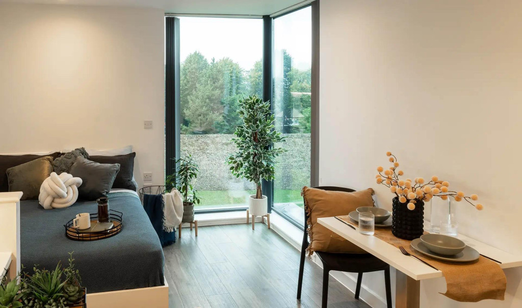 Palamon Court - Canterbury - chambre - ImmoJeune