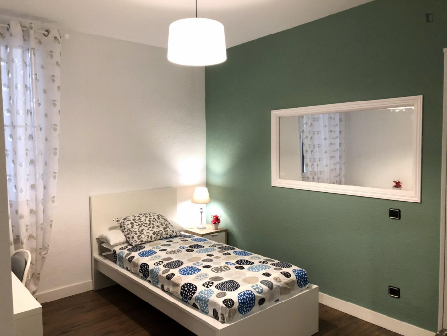 Single bedroom in 11-bedroom apartment - Madrid - chambre - ImmoJeune