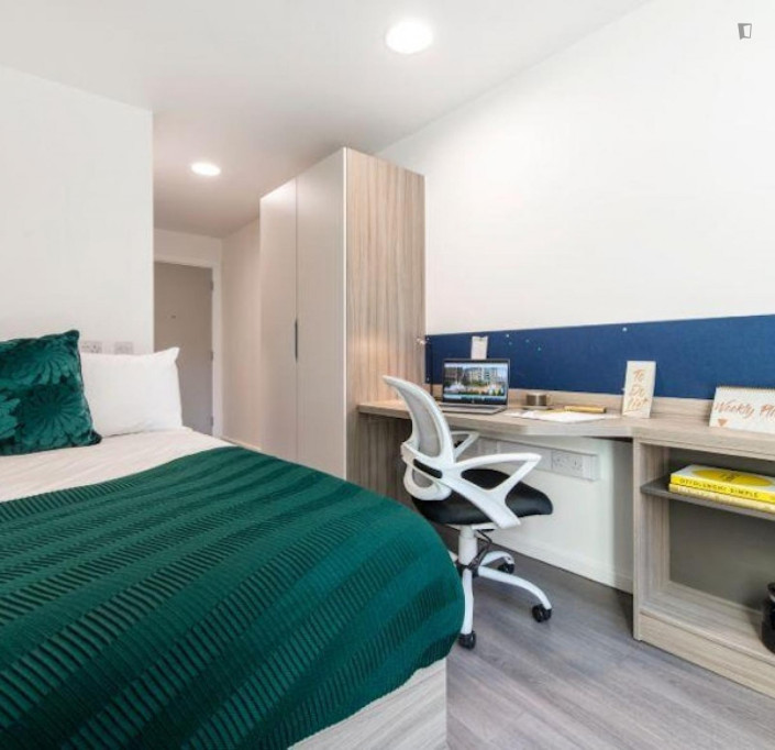 Snug double ensuite bedroom a 5-minute walk from the University of Sheffield Diamond Building - Sheffield - chambre - ImmoJeune