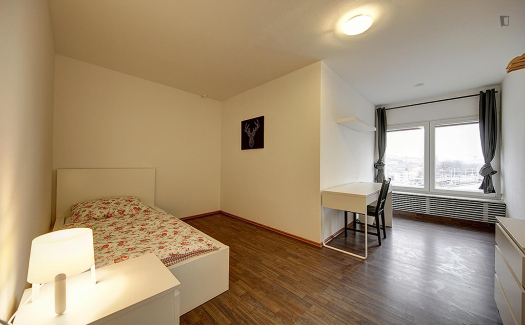 Snug single bedroom near the Bad Cannstatt Wilhelmsplatz metro  - Stuttgart - chambre - ImmoJeune