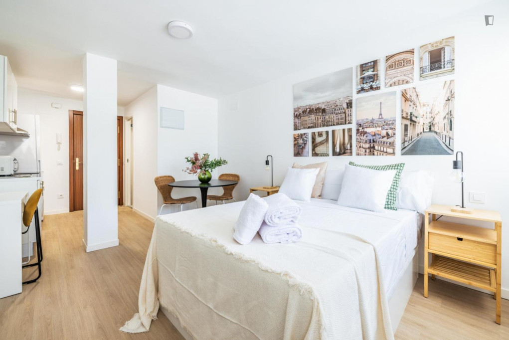 Stylish studio in well-connected Quintana - Madrid - chambre - ImmoJeune