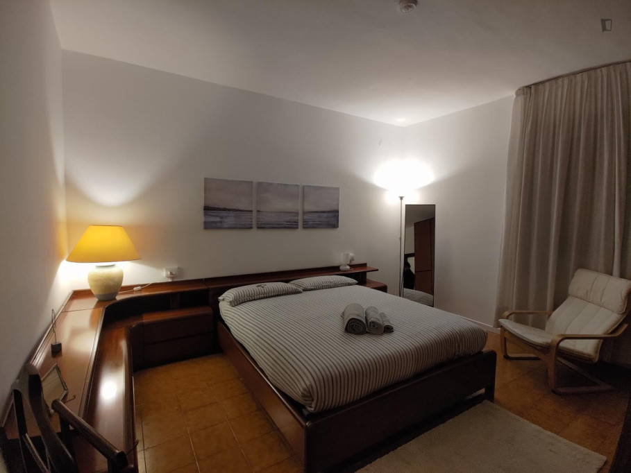 Bright double bedroom in 2-bedroom apartment ideal for Bocconi, NABA and IULM students - Milan - chambre - ImmoJeune