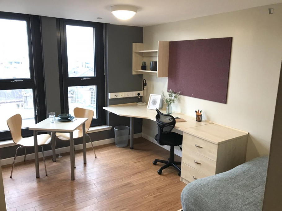 Comfy studio close to the National Museum of Scotland - Edinburgh - chambre - ImmoJeune