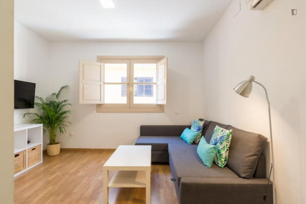 Comfortable 1-bedroom flat in Centro Histórico - Malaga - chambre - ImmoJeune