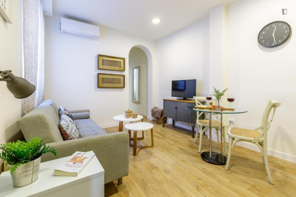 Appealing 1-bedroom apartment in the heart of Malaga - Malaga - chambre - ImmoJeune