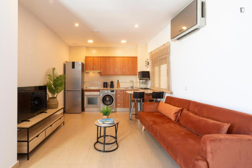 Comfortable 1-bedroom flat in the city center - Malaga - chambre - ImmoJeune