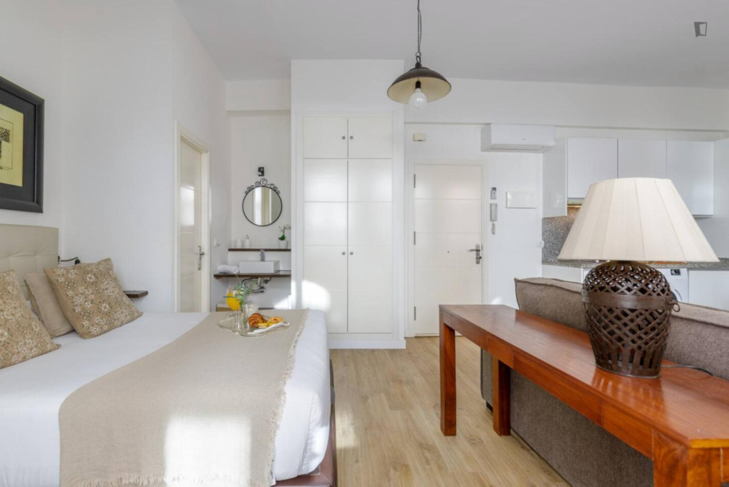 Big and charming studio in the centre of Málaga - Malaga - chambre - ImmoJeune