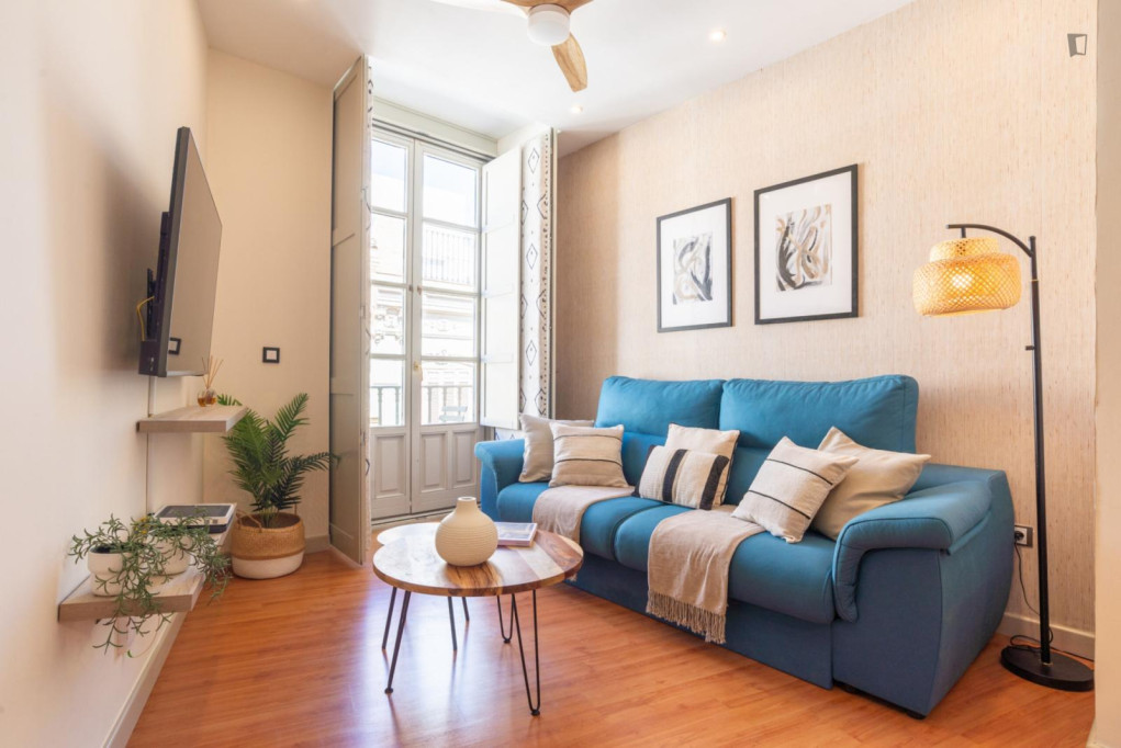 Charming 1-bedroom flat in Centro Histórico - Malaga - chambre - ImmoJeune