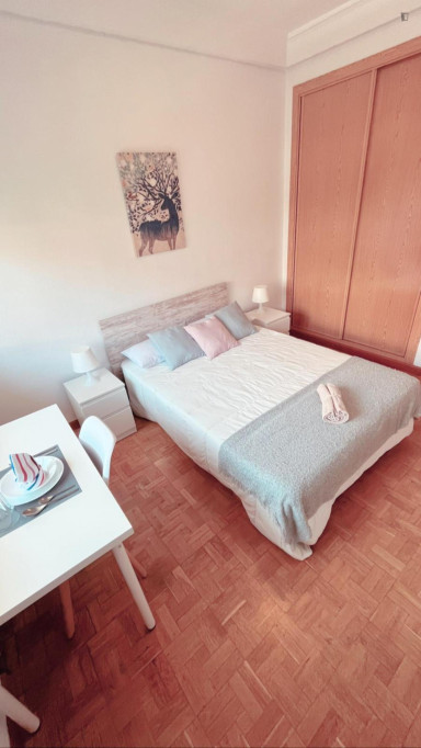 Attractive double bedroom well connected to the city center of Madrid - Madrid - chambre - ImmoJeune