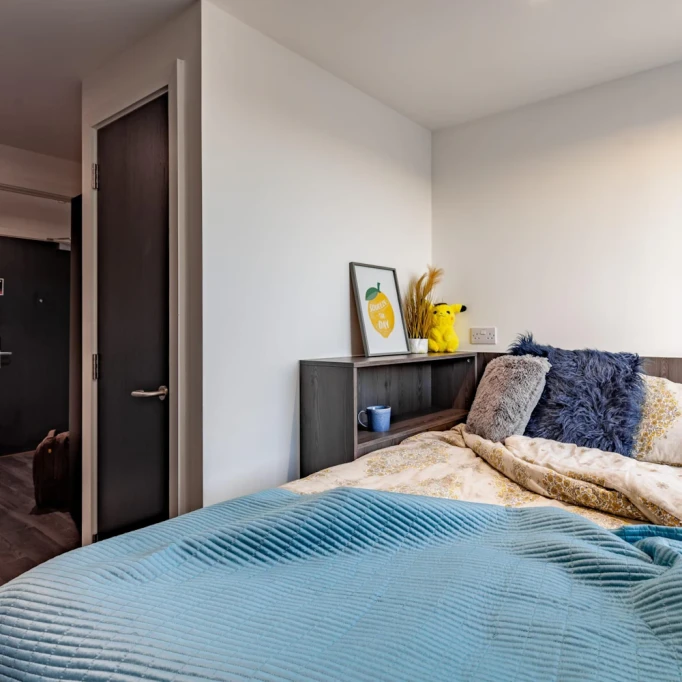 Opto - Newcastle upon Tyne - chambre - ImmoJeune