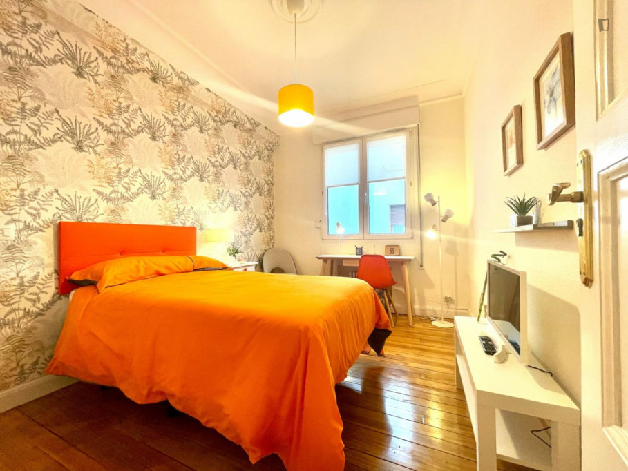 Pleasant double bedroom in Abando - Bilbao - chambre - ImmoJeune