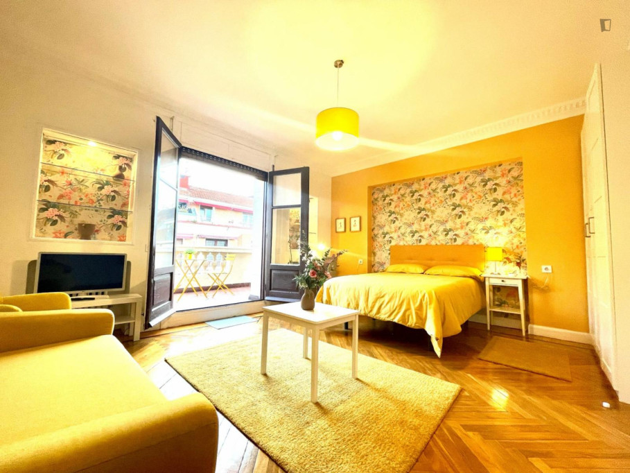 Large double bedroom in the Abando district - Bilbao - chambre - ImmoJeune