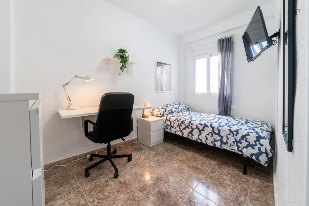 Attractive Single bedroom in a 4 bedroom apartment - Valence - chambre - ImmoJeune