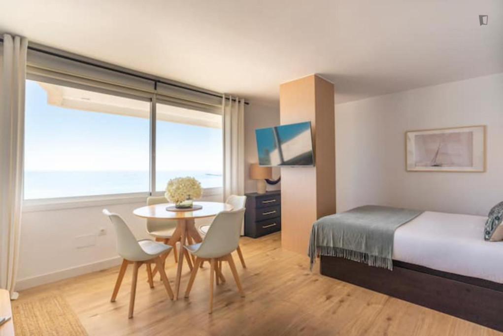 Comfortable studio with sea view in Málaga-Este