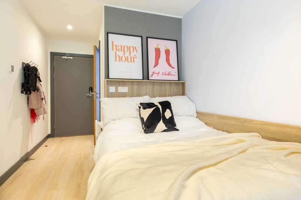 Curraheen Point - Cork - chambre - ImmoJeune