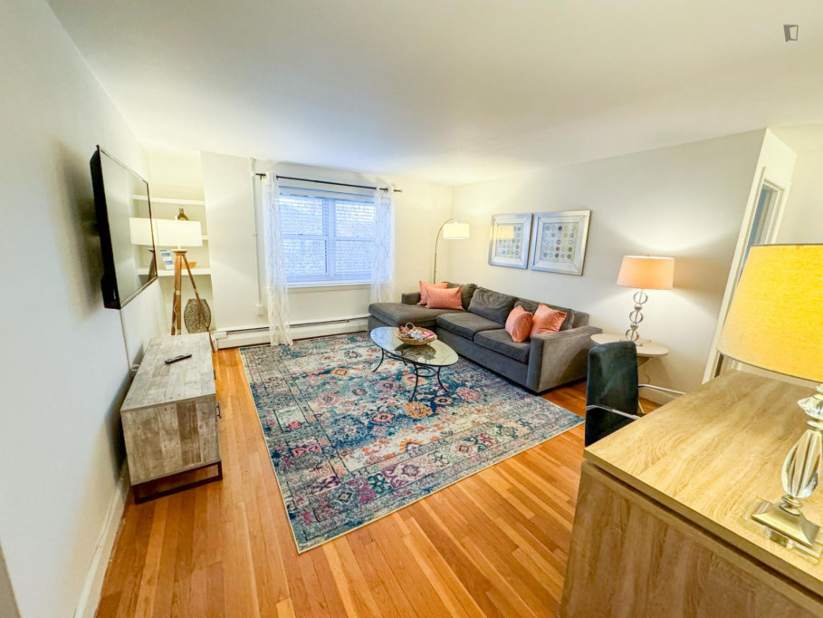 Sun-filled 2BR, In-Unit Laundry, Near T Medical - Boston - chambre - ImmoJeune