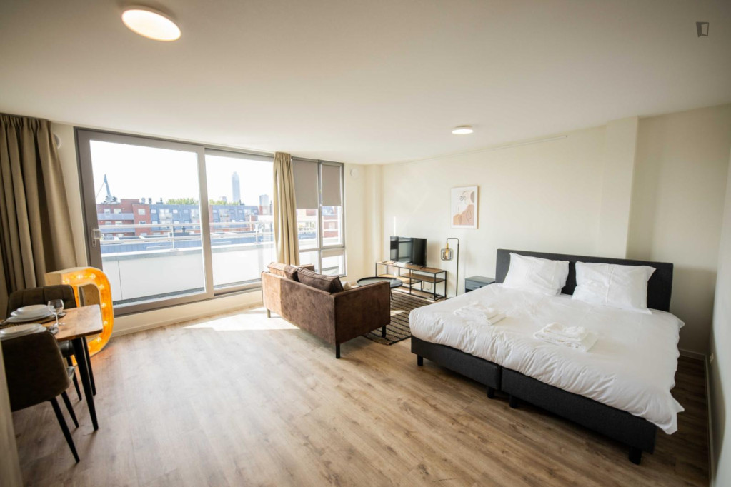 Classy and spacious studio in the North Island - Rotterdam - chambre - ImmoJeune