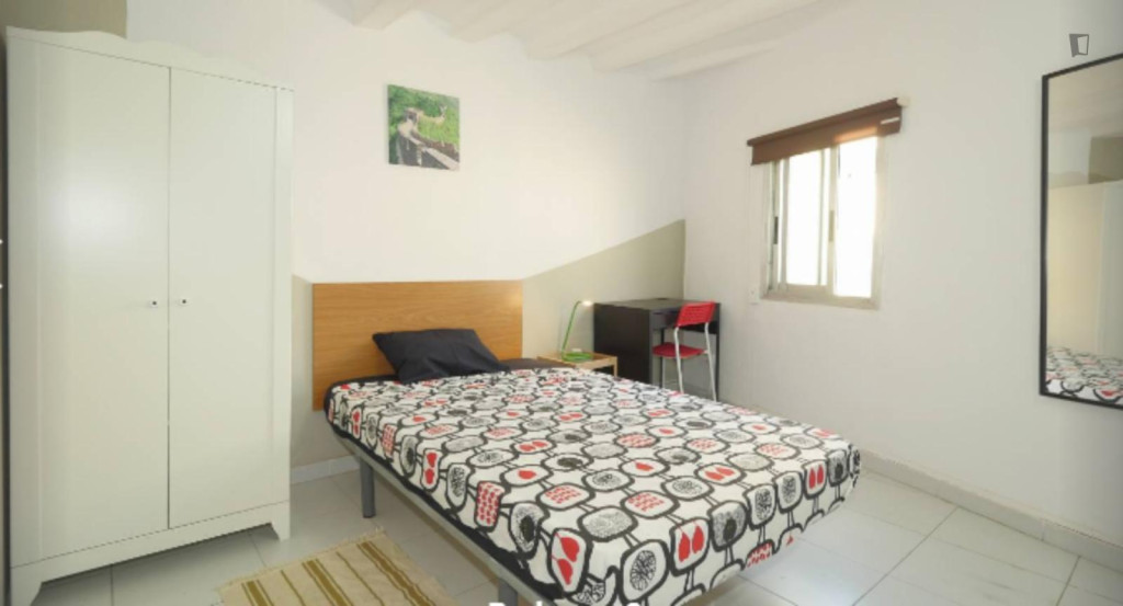 Very nice single bedroom in the centre of Barcelona - Barcelone - chambre - ImmoJeune