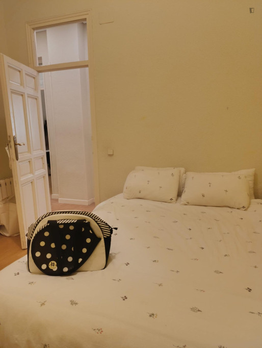 Comfortable double bedroom in 3-bedroom apartment with terrace and rooftop in Almagro, Chamberi - Madrid - chambre - ImmoJeune