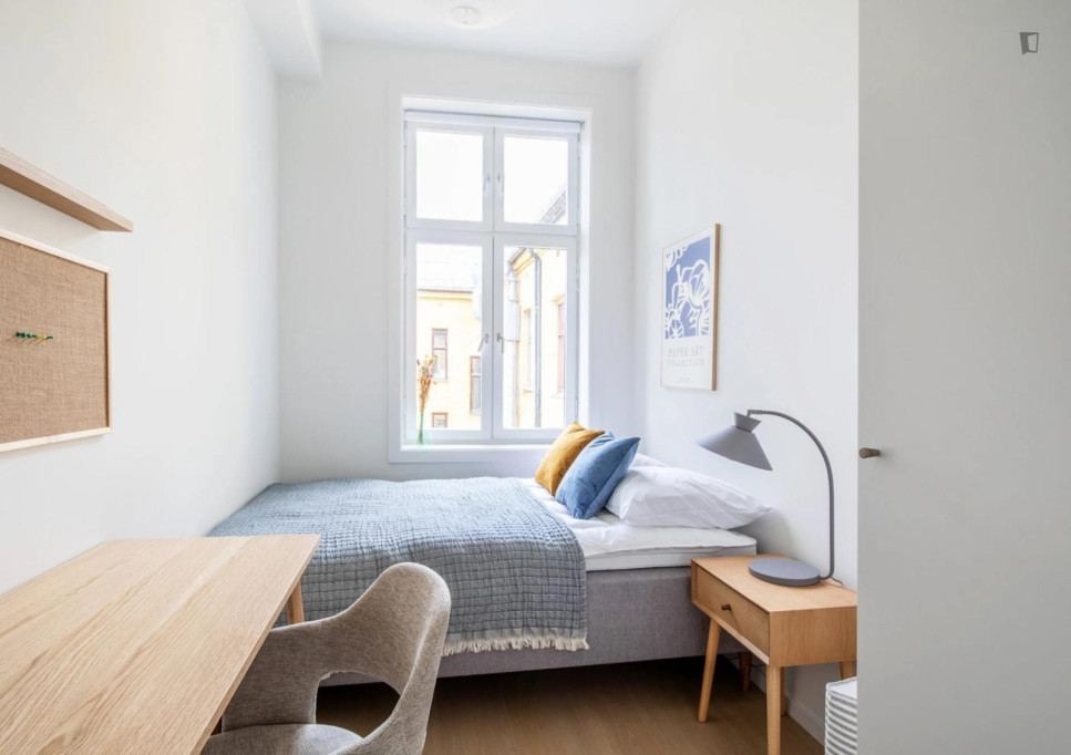 Bright single bedroom in Grünerløkka - Oslo - chambre - ImmoJeune