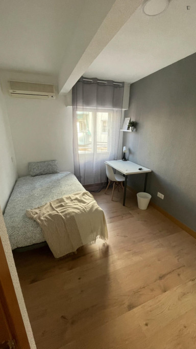 Snug single bedroom near the Parque de la Alhóndiga - Madrid - chambre - ImmoJeune