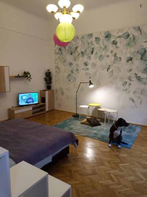 1-bedroom apartment, good vibes studio