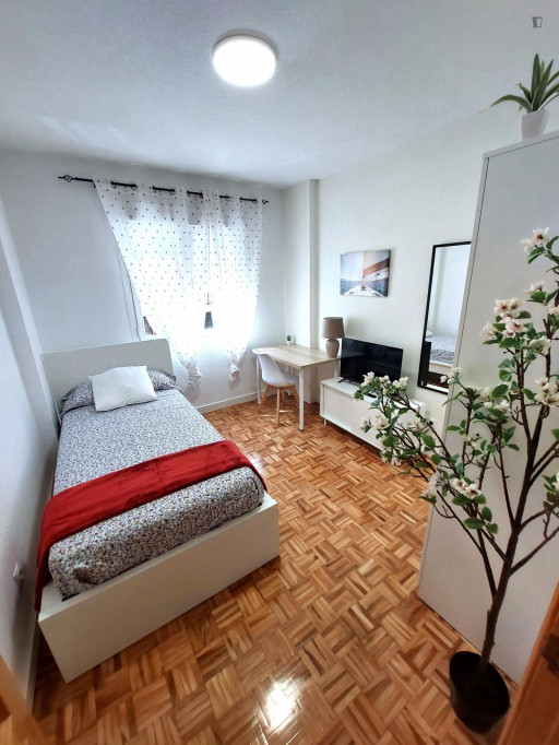 Single bedroom in 5-bedroom apartment - Madrid - chambre - ImmoJeune