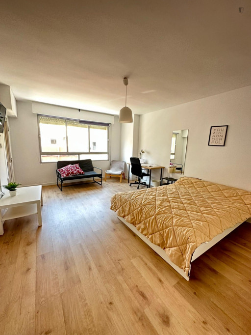 Spacious double bedroom in the centre of Castellón de la Plana - Castello de la Plana - chambre - ImmoJeune