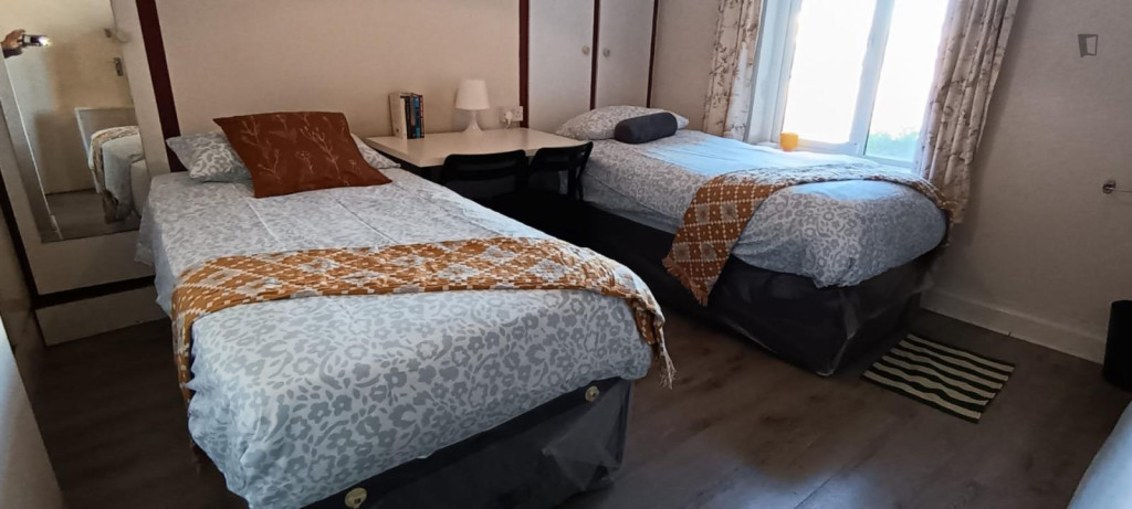Bed in a cosy twin bedroom, in Drumcondra - Dublin - chambre - ImmoJeune