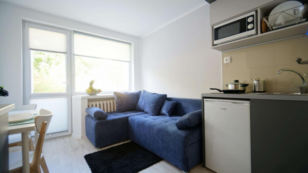 Splendid studio in Stare Bałuty - Lodz - chambre - ImmoJeune