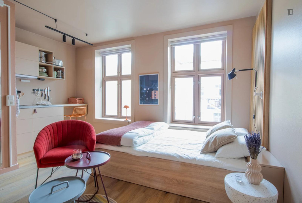 Bright studio in Grünerløkka - Oslo - chambre - ImmoJeune