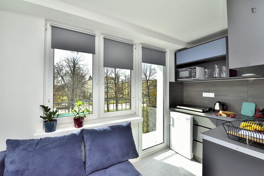 Charismatic and bright studio in Stare Bałuty - Lodz - chambre - ImmoJeune