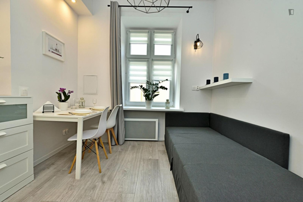 Very interesting studio in the centre of Łódź - Lodz - chambre - ImmoJeune