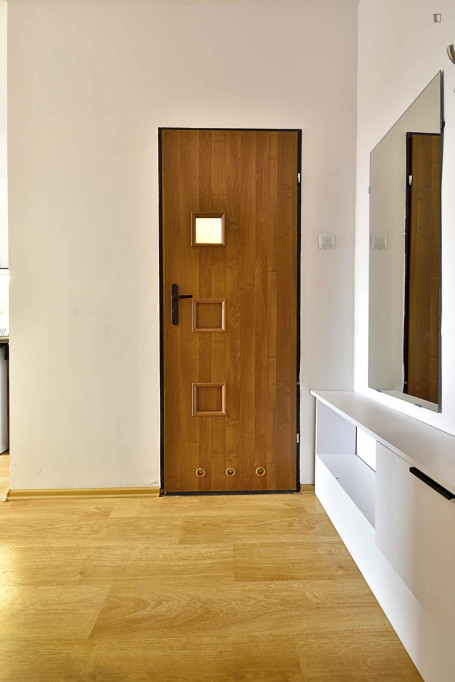 Amazing studio in the Śródmieście district