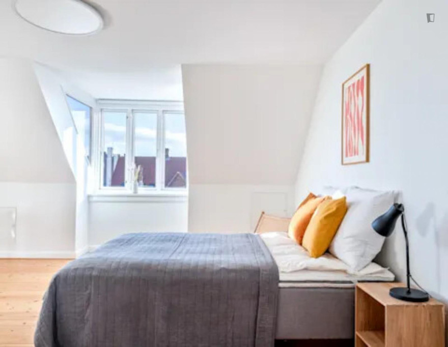 Bright double bedroom in Nørrebro - Copenhagen - chambre - ImmoJeune