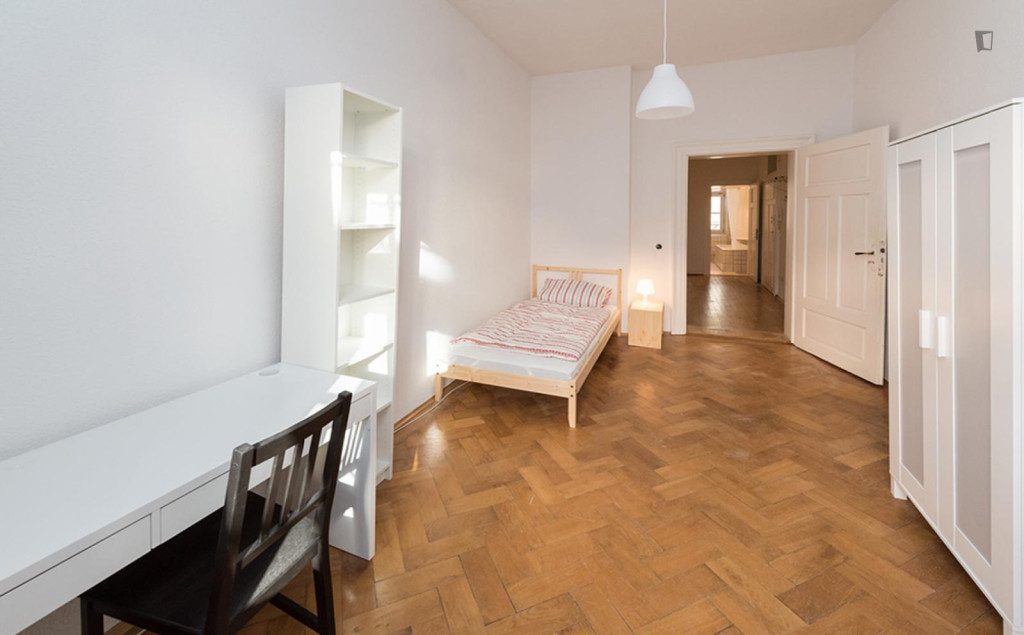 Large single bedroom in Ludwigsvorstadt-Isarvorstadt