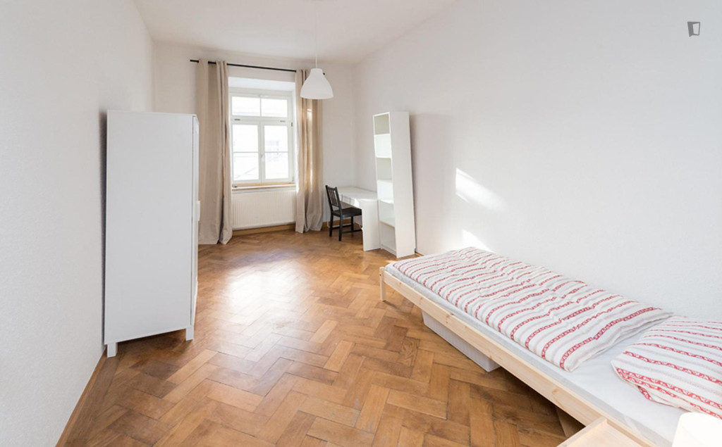 Large single bedroom in Ludwigsvorstadt-Isarvorstadt