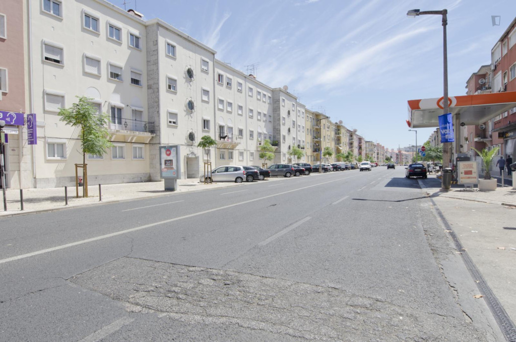 Charming single bedroom in busy Alvalade