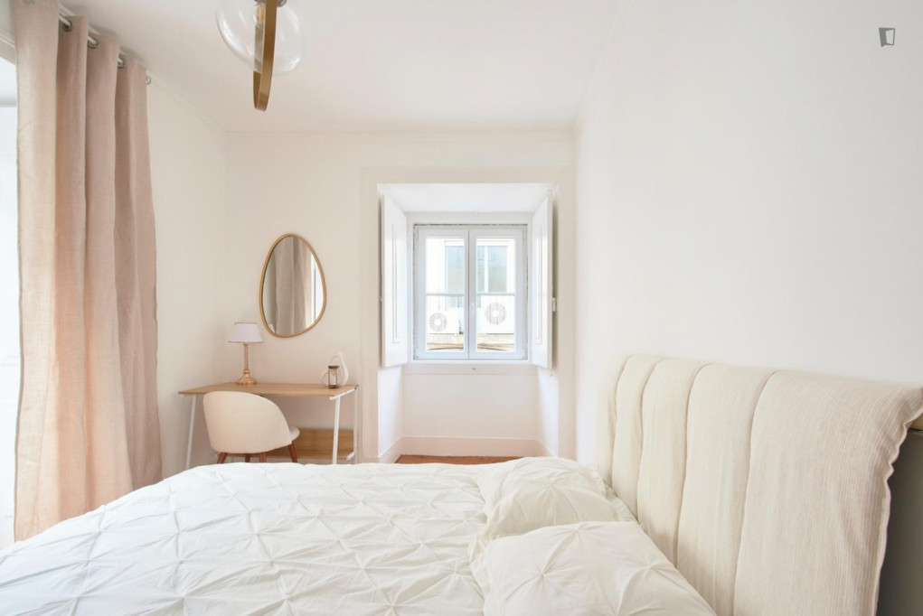Great looking single bedroom