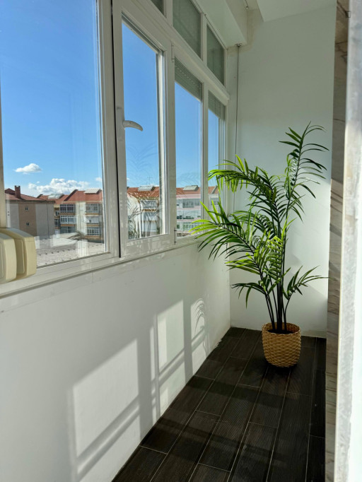 Sunny 1-bedroom apartment in Amadora
