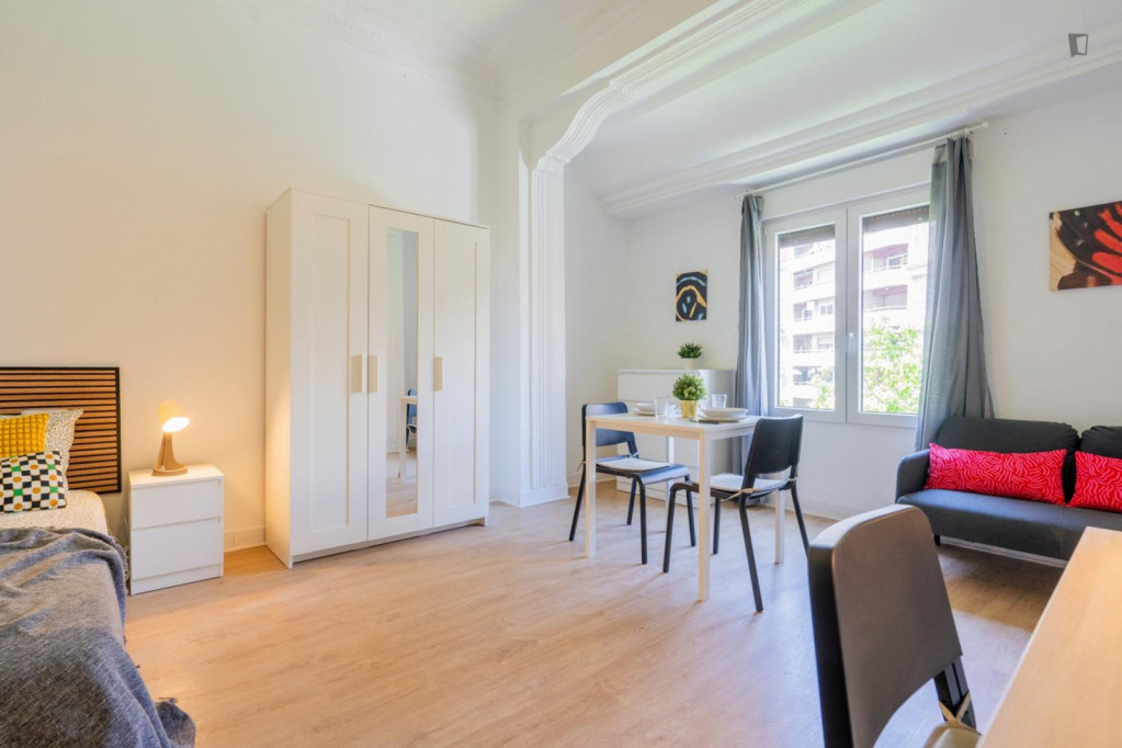 Large Attractive double bedroom - Valence - chambre - ImmoJeune